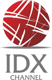Saluran IDX